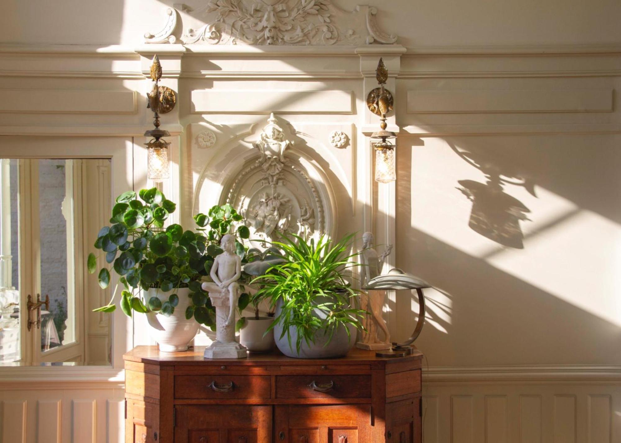 Huis Dujardin Bed&Breakfast Антверпен Екстериор снимка