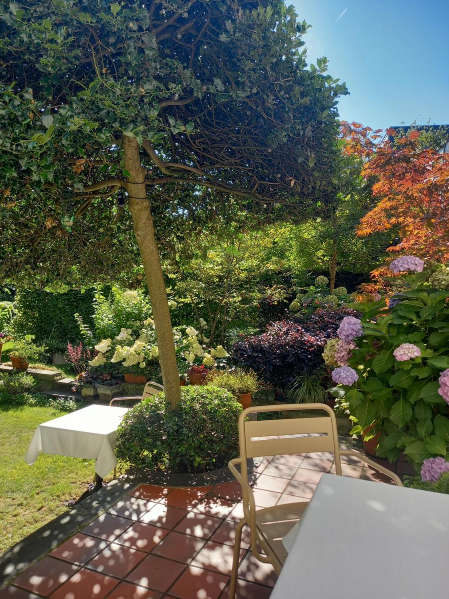 Huis Dujardin Bed&Breakfast Антверпен Екстериор снимка